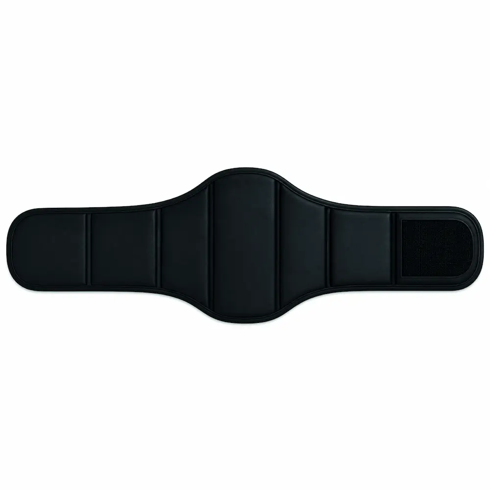 ACC-009 fajón abdominal DailyMed